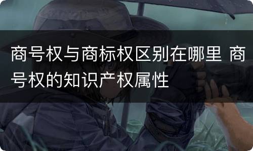 商号权与商标权区别在哪里 商号权的知识产权属性