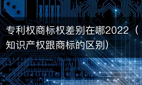 专利权商标权差别在哪2022（知识产权跟商标的区别）