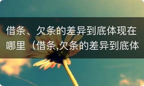 借条、欠条的差异到底体现在哪里（借条,欠条的差异到底体现在哪里呢）