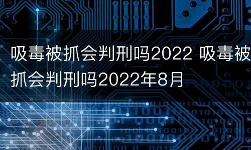 吸毒被抓会判刑吗2022 吸毒被抓会判刑吗2022年8月